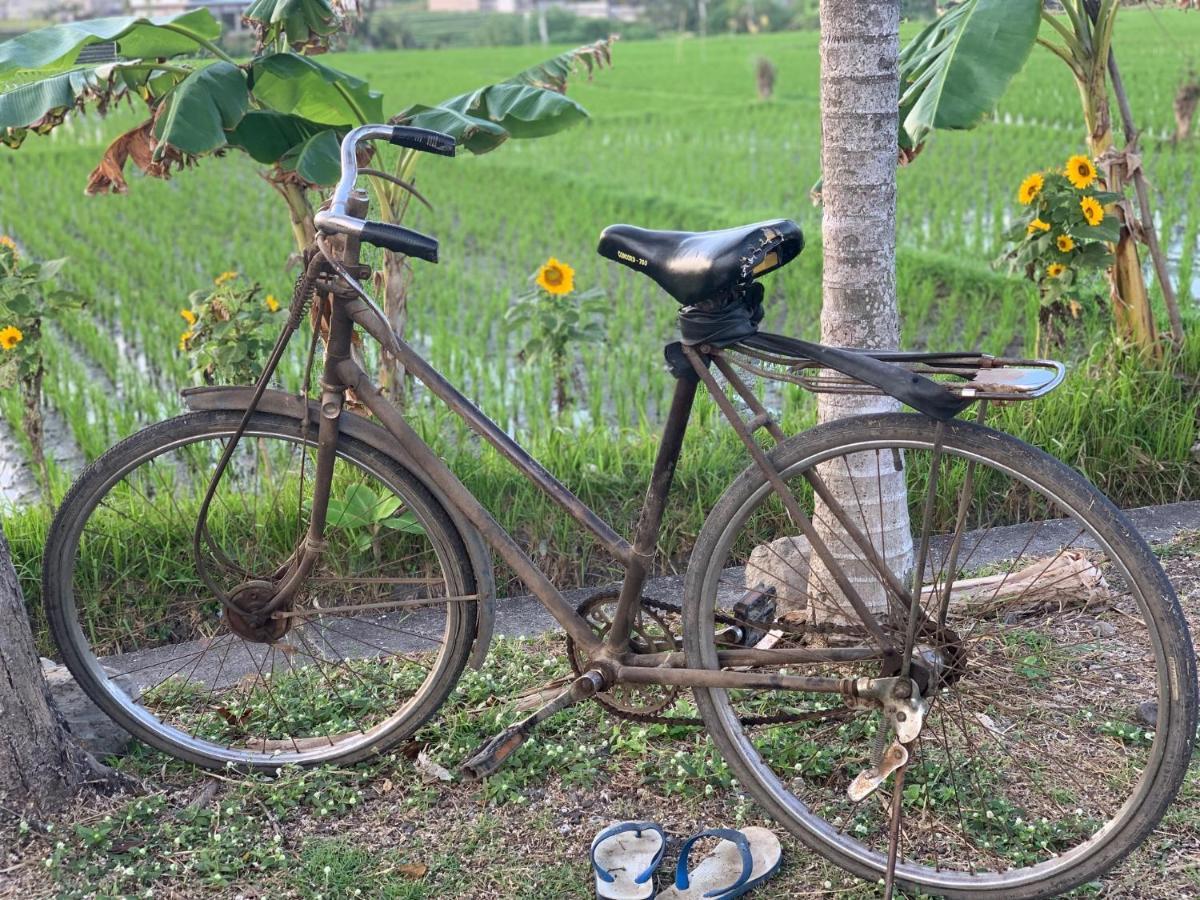 Villa Padi Canggu  Ngoại thất bức ảnh